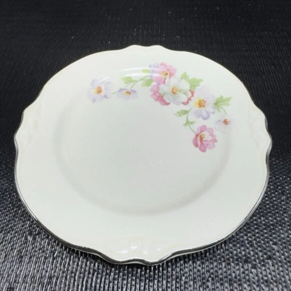 Homer Laughlin Virginia Rose Platinum Trim USA Rose Floral 6inch Plate Dish Set3